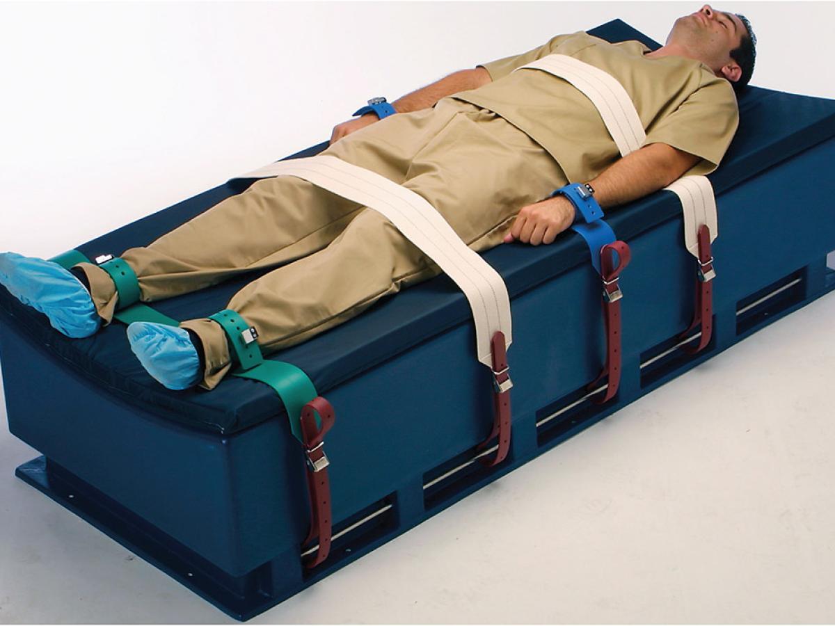 203 Leather Bed Restraints | SWS Group